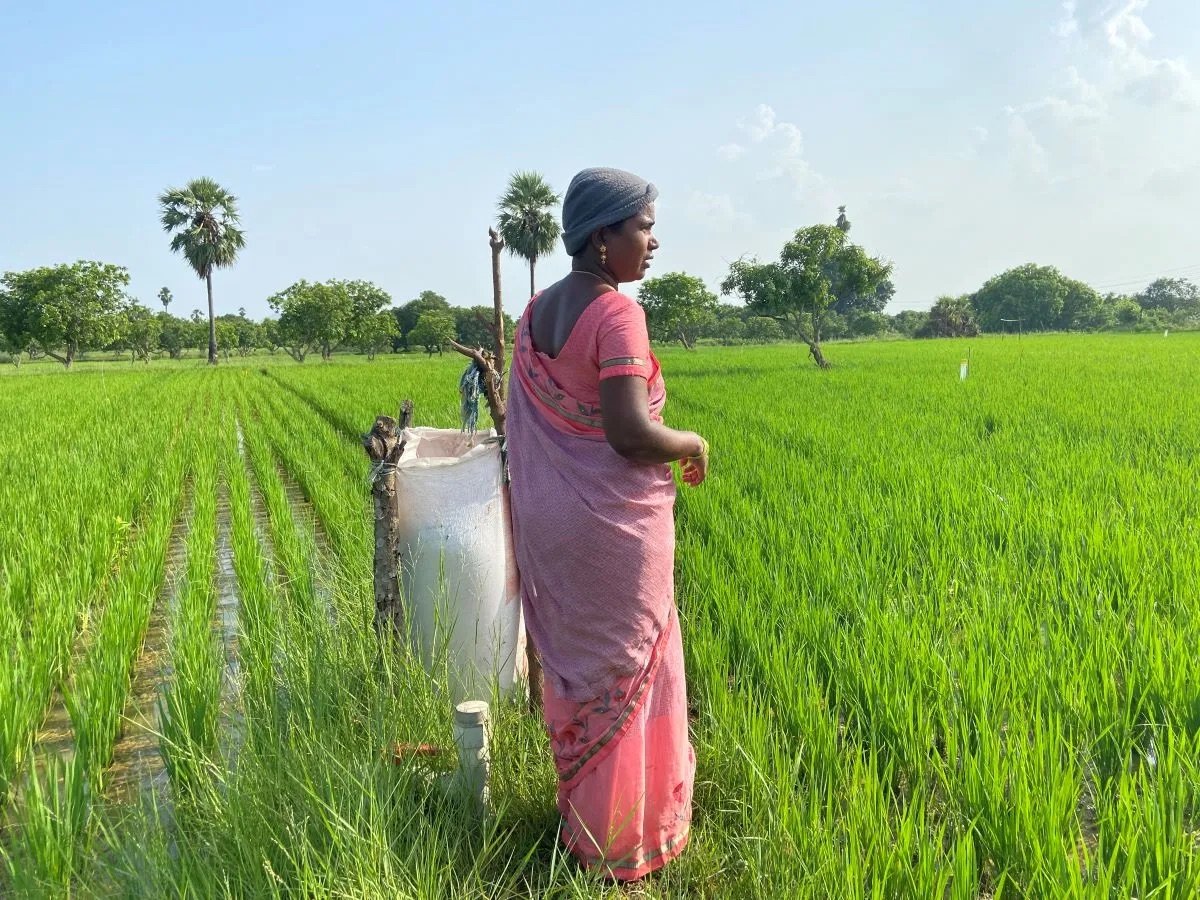 Rising from the Soil: How Women Farmers in India Are Leading a Green Revolution