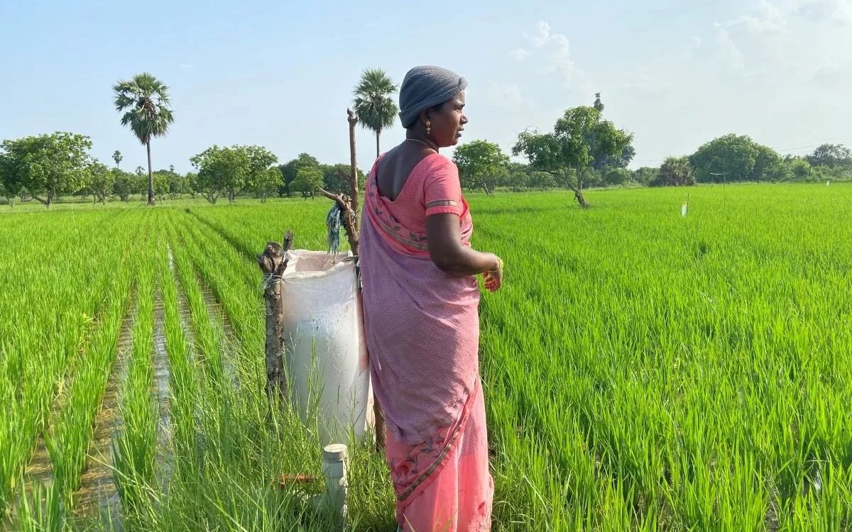 Rising from the Soil: How Women Farmers in India Are Leading a Green Revolution